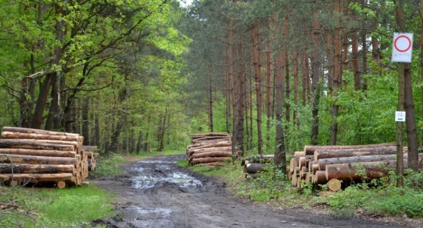 Spotkanie w Nadleśnictwie Katowice