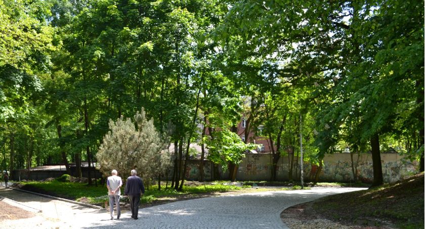 Mysłowice w rankingu zielonych miast. Jak wypadły?
