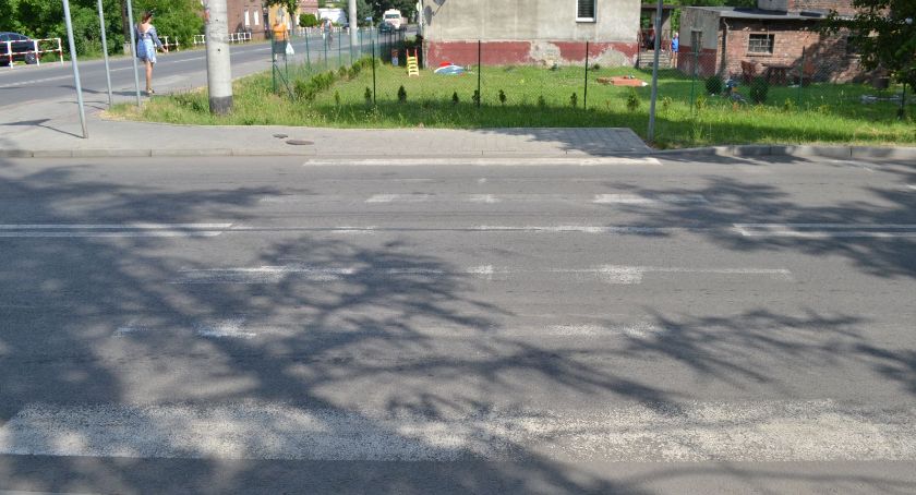 Pasy nie przetrwały nawet roku