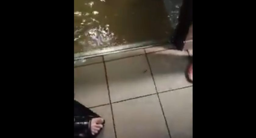 Rodzina uciekła z zalanego mieszkania 