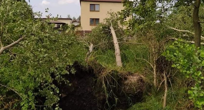 Ławki: żywioł zrobił swoje