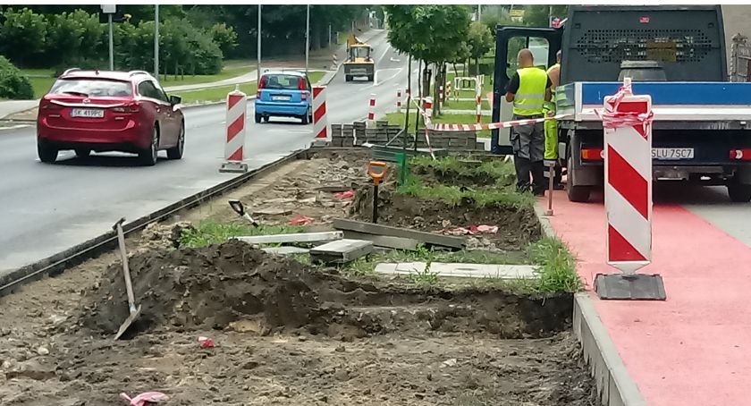 Najpierw posadzili, teraz wykopują