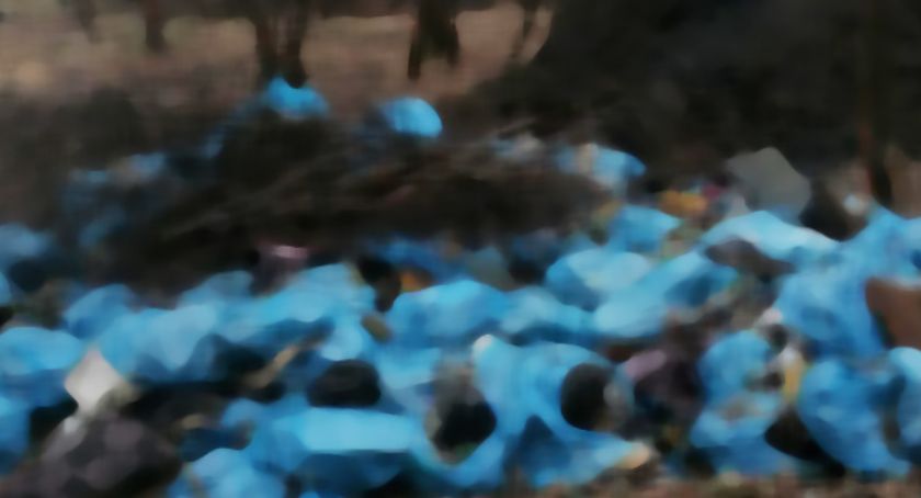 Nowe szczegóły śmieciowej afery. To sfotografowała mieszkanka