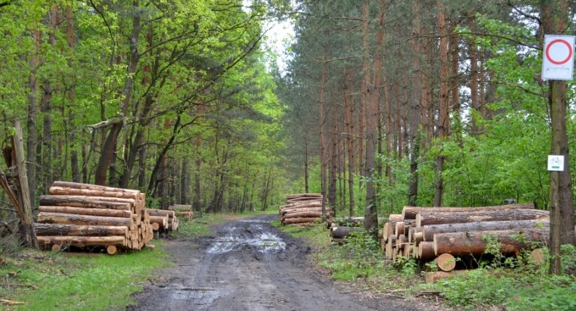 Spotkanie z przedstawicielami Nadleśnictwa Katowice