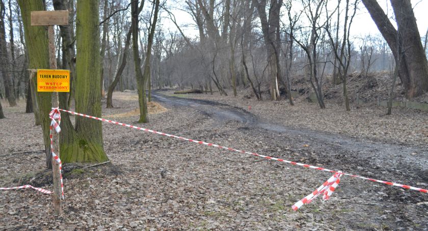 100 drzew do wycięcia w Parku Zamkowym