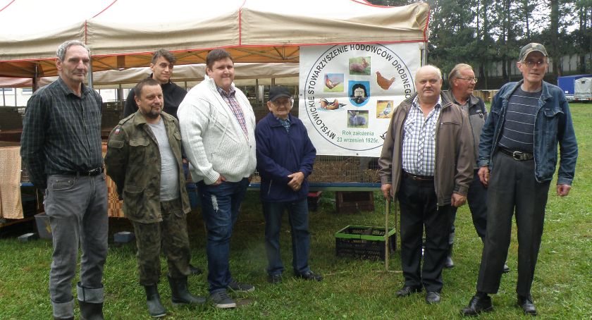 Wystawa drobnego inwentarza w Kosztowach