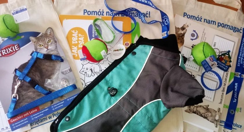Światowy Dzień Zwierząt - zapraszamy do udziału w zabawie z nagrodami