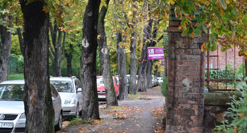 Wykonawca bike&ride ciągle czeka na zgodę na wycinkę drzew