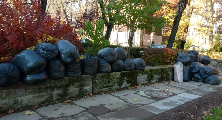 Worki z liśćmi zalegają przy SP7. Pora zająć się sprawą