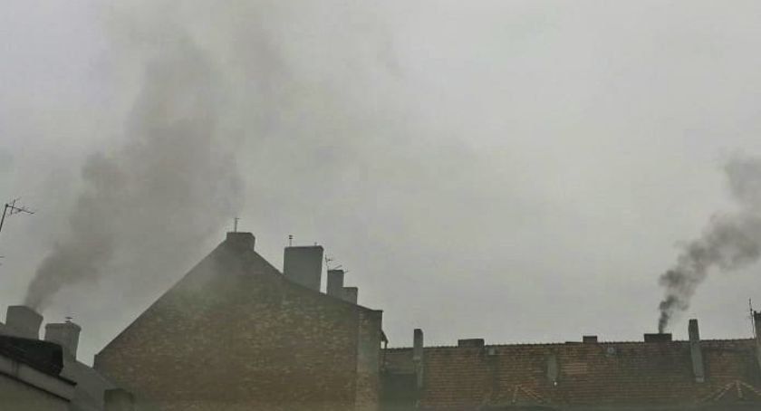 Mobilne płuca pokażą, czym oddychamy. Kampania Polskiego Alarmu Smogowego także w Mysłowicach
