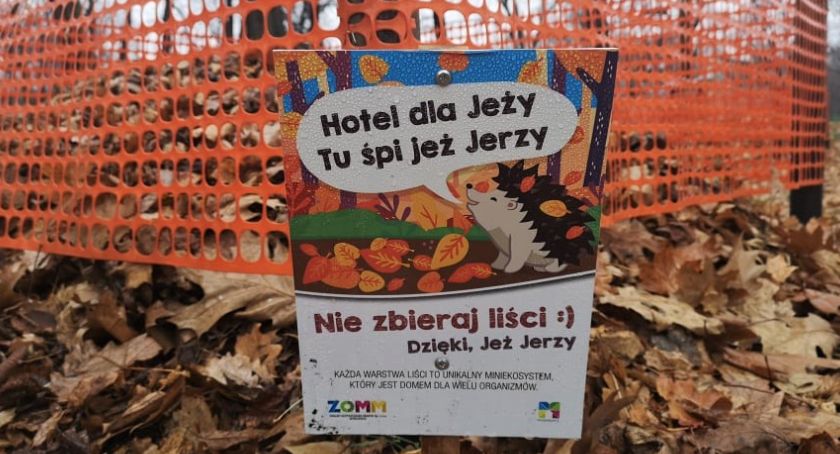 W Mysłowicach powstały hotele dla... jeży