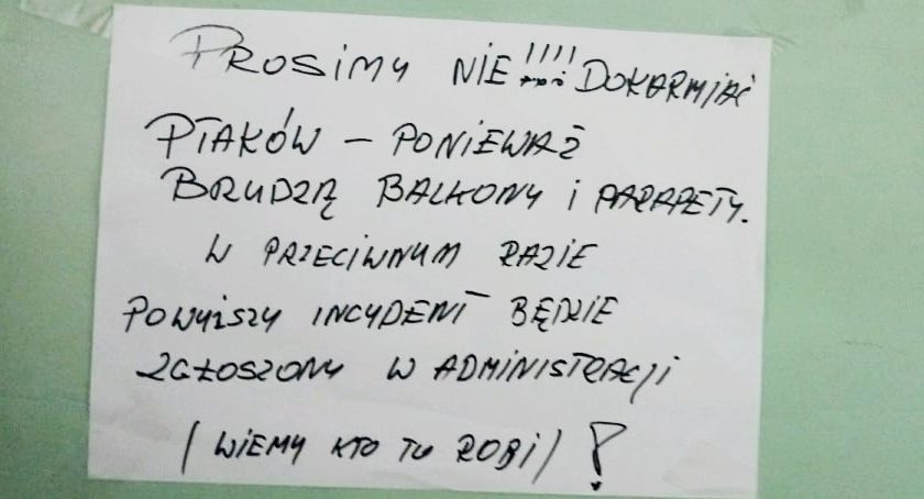 Dokarmiając ptaki można narazić się sąsiadom