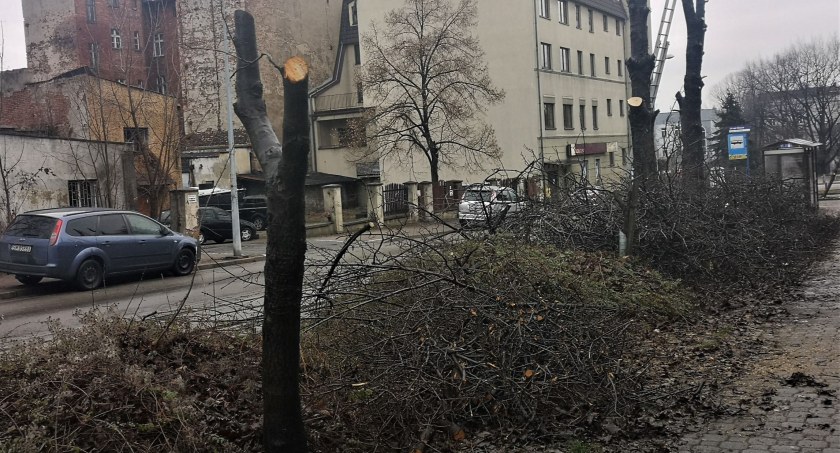 Wycinają drzewa w związku z remontem torowiska