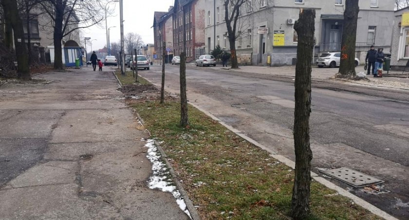 Wycinka przy ul. Powstańców - w zamian za wycięte drzewa posadzą nowe