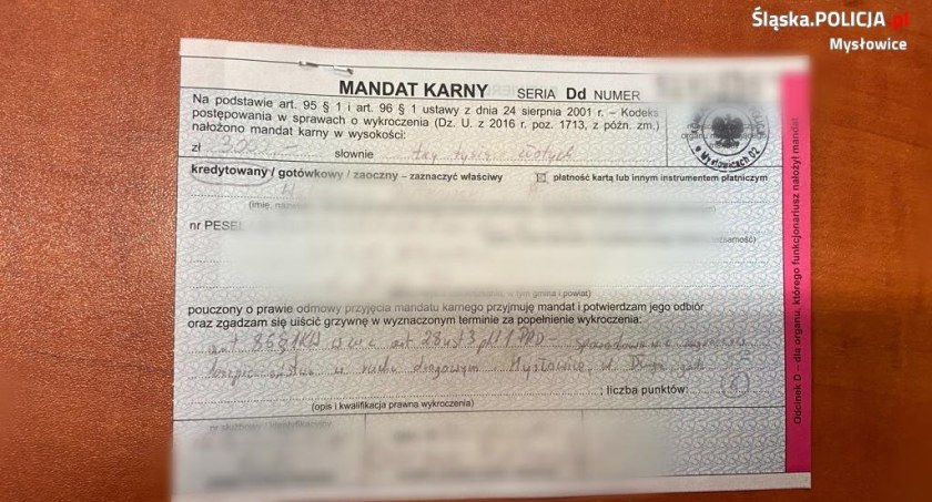 Ukarani surowymi mandatami za zniszczenie rogatek