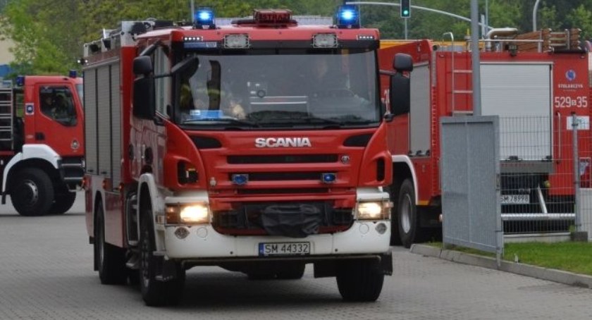 Silny wiatr łamał drzewa. Strażacy usuwali skutki wichury