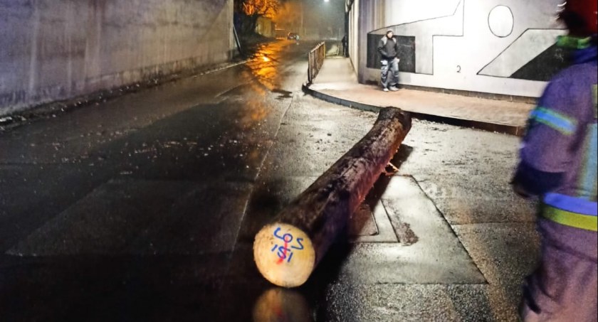 Ktoś zgubił na drodze wielki pień. Interweniowała straż pożarna