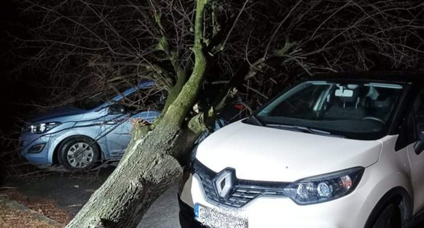 W Kosztowach drzewo spadło na samochody