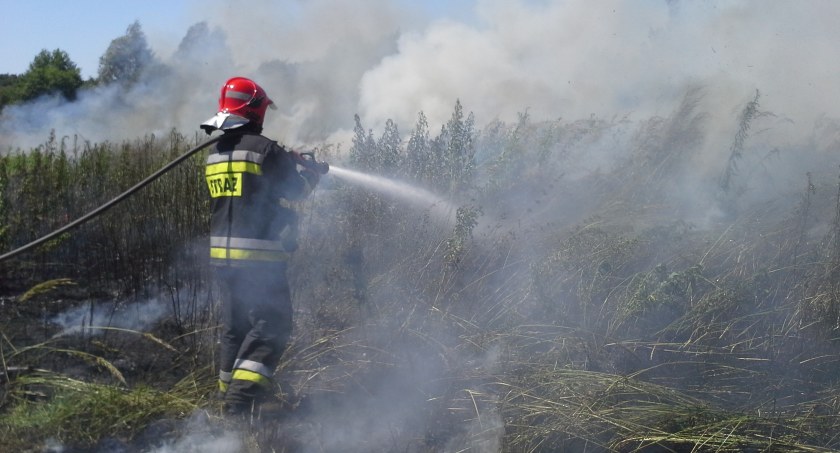 Rozpoczął się sezon wypalania traw. To bardzo niebezpieczny proceder