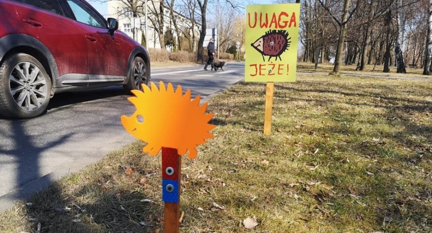 W Mysłowicach pojawiły się nowe tabliczki, bo jeże budzą się z zimowego snu