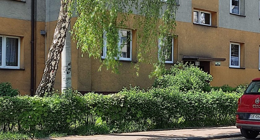 Mieszkania komunalne sprzedamy za bezcen?