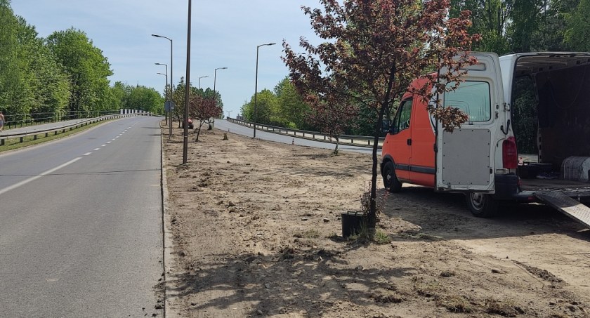 Zielone zmiany w mieście