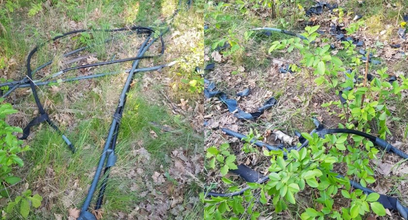 Miedź zabrali, resztę zostawili w lesie