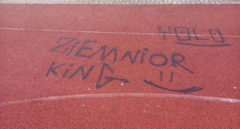Dewastacje i zaśmiecanie