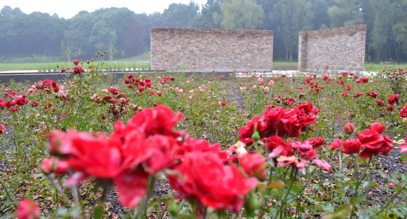 Powstał film o Rosengarten. Premiera 4 września