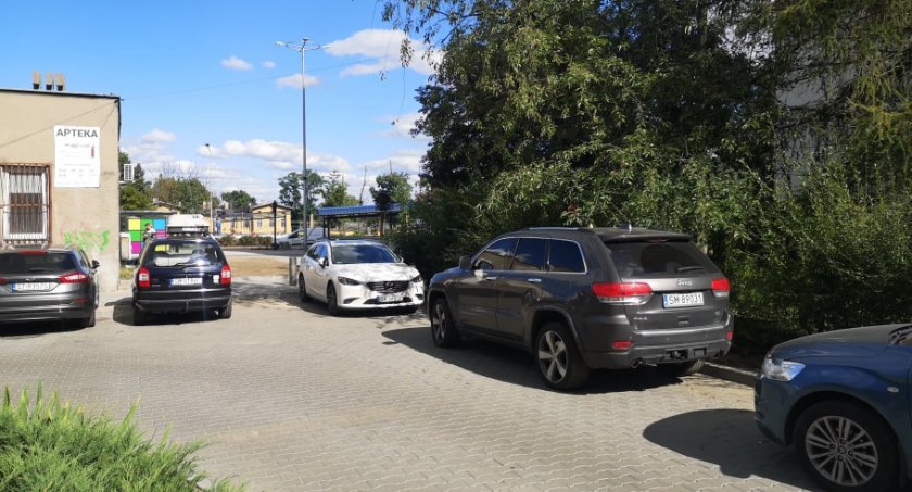 Szczury biegają po parkingu i wchodzą do samochodów