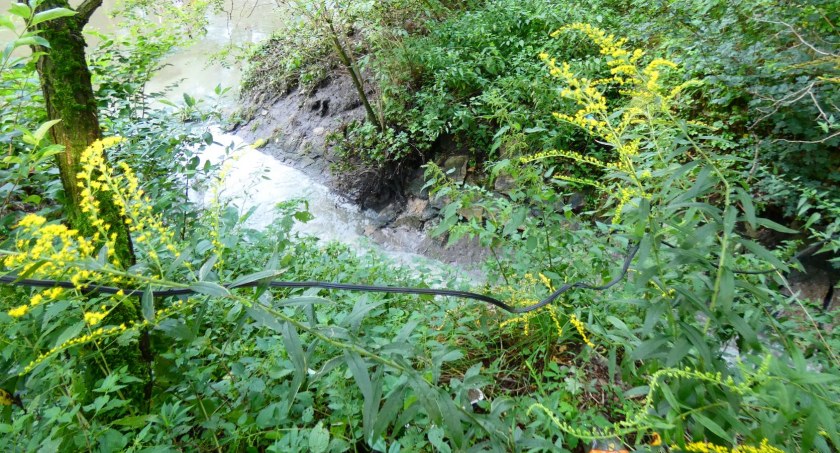 Nad czarną Przemszą Czarną