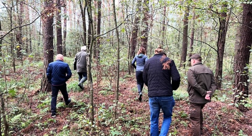 Las w Kosztowach zniszczony po gradobiciu, nie obejdzie się bez wycinki