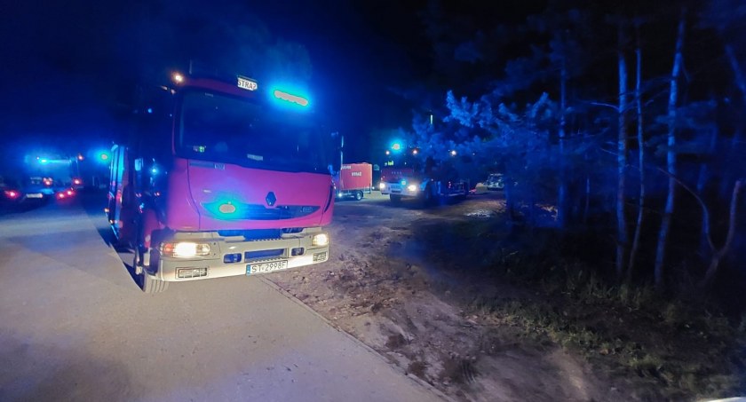 62-latek zgubił się w lesie nad zalewem
