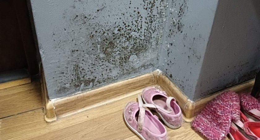 Mieszkanie czarne od grzyba. Muszą mieszkać w takich warunkach