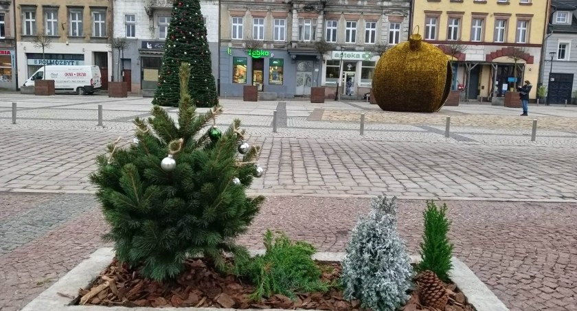 Na Rynku robi się świątecznie. Jest choinka i inne dekoracje