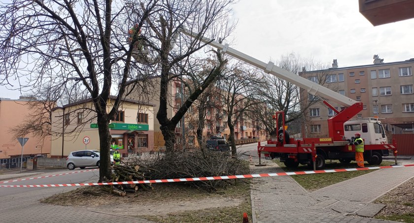 Rozpoczęto prace nad powstaniem 