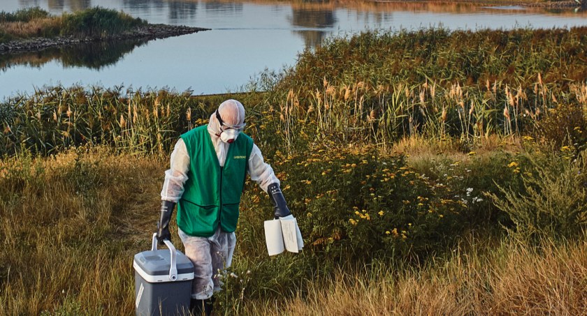 Kopalnie są winne zasolenia Odry i Wisły - wynika z raportu Greenpeace. Na celowniku także KWK Mysłowice-Wesoła