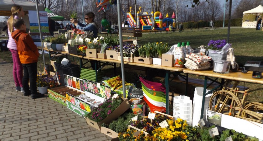 Na Bończyku odbędzie się charytatywny piknik rodzinny
