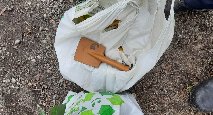 Wykopywał kwiatki z trawnika. Zareagowali miejscy strażnicy