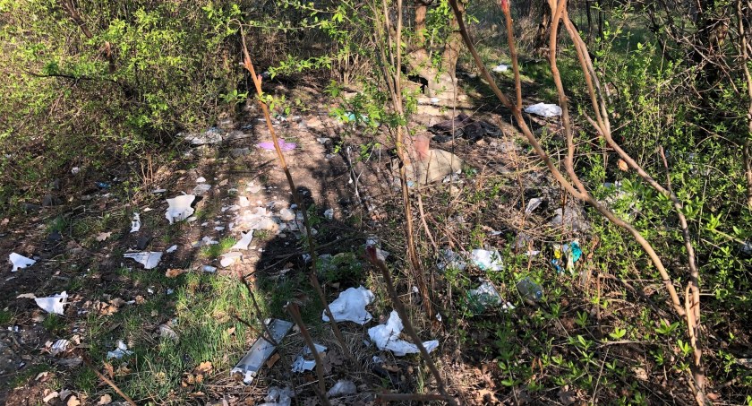 Rada Dzielnicy Janów Miejski-Ćmok zaprasza do wspólnego sprzątania Lasku Janowskiego