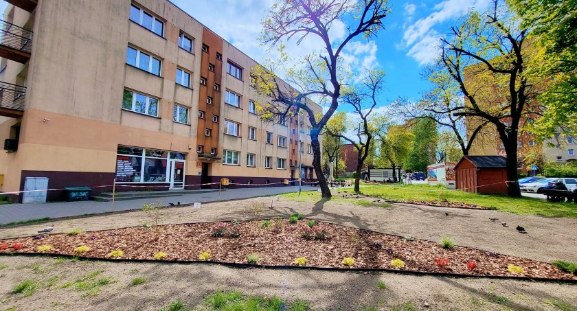 Skwerek na Skotnicy pięknieje