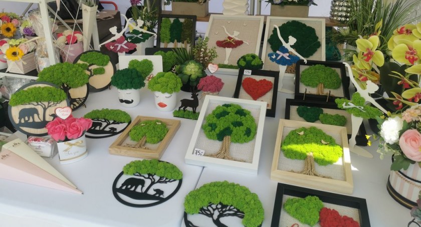 Green Festival odbędzie się w Mysłowicach