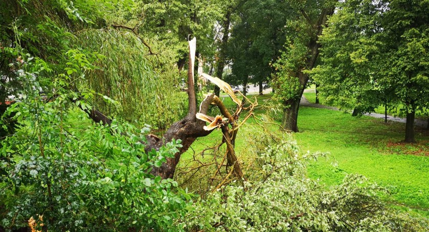 Burza nad Mysłowicami wyrządziła sporo szkód