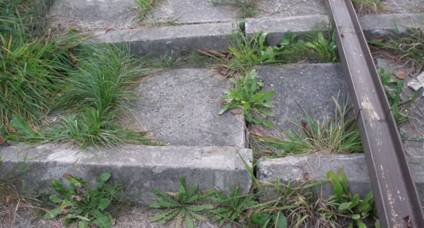 Niebezpieczne schody na Skałkę