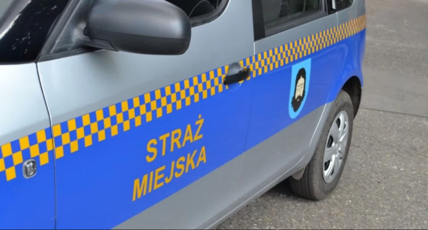 Nowe uprawnienia strażników miejskich