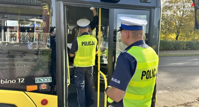 Kierowca autobusu potrącił na zielonym świetle 80-latkę