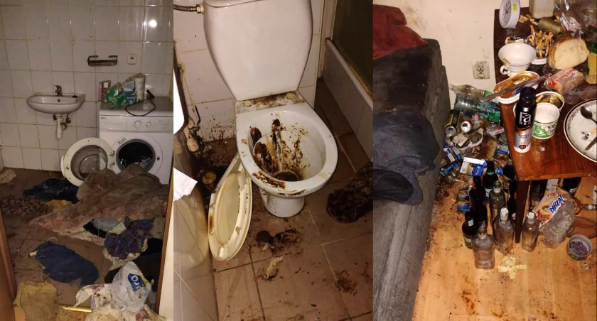 Brzezinka. Dziki lokator zatruwa życie sąsiadom