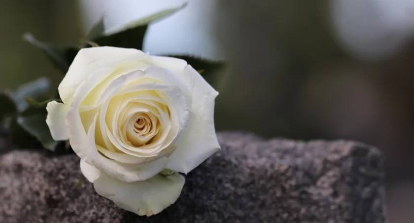 Wyrazy współczucia dla rodziny śp. Jana Gandyka