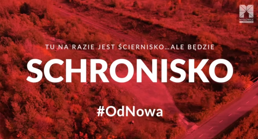 Temat budowy schroniska dla zwierząt wraca jak bumerang