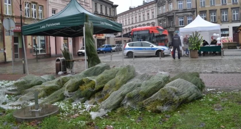 Choinki dla honorowych dawców krwi